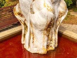 Fotowalk - Bodensdorf - Carinthia Austria